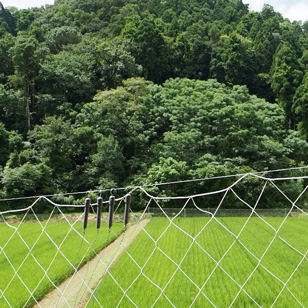 田んぼのあぜ道の写真
